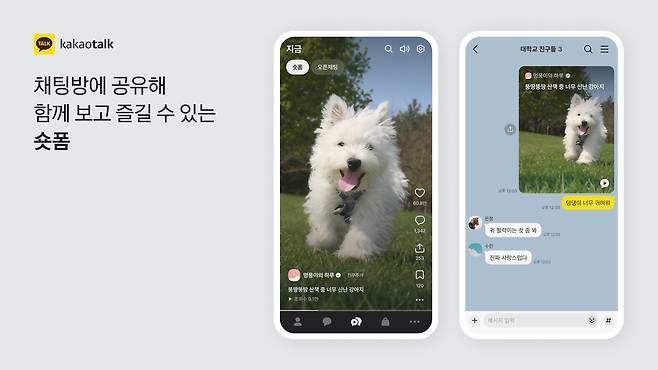 카카오톡 개편안 내용을 담은 설명 이미지. 카카오 제공