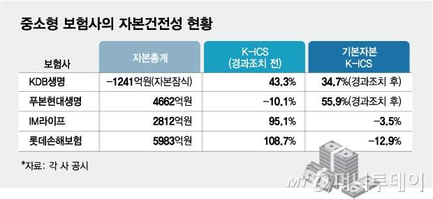 중소형 보험사의 자본건전성 현황/그래픽=김현정