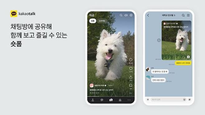 [서울=뉴시스] 카카오 '지금' 탭 내 숏폼 기능 (사진=카카오 제공) *재판매 및 DB 금지
