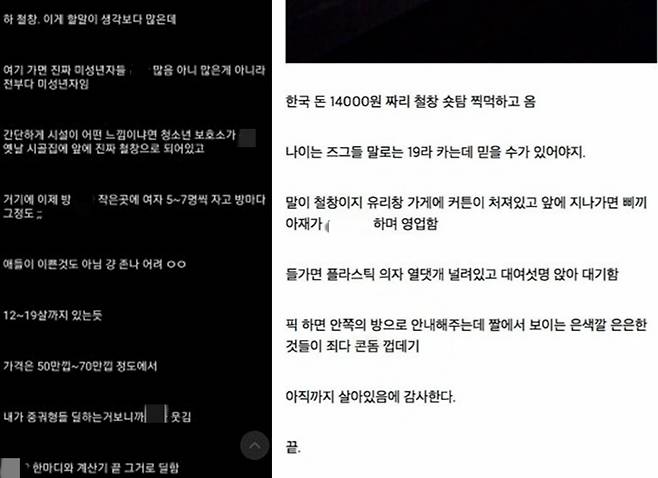 디시인사이드 커뮤니티에 게시된 라오스 성매매 후기 글 [X 캡처]