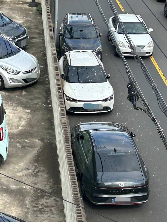 [출처= 온라인 커뮤니티 '보배드림']