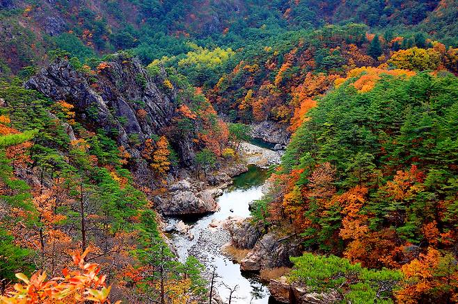 불영사계곡. 울진군 제공