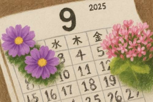 일러스트 고재하