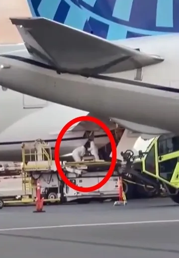 2024년 12월 24일(현지시간) 시카고 오헤어 국제공항을 이륙해 마우이섬 카훌루이 공항에 착륙한 유나이티드 항공 202편의 랜딩기어(항공기 동체와 바퀴를 연결하는 구조물) 수납공간에서 시신 한 구가 발견됐다. 사진은 시신이 발견된 여객기를 조사하는 현지 경찰. 하와이 뉴스 나우 영상 캡처