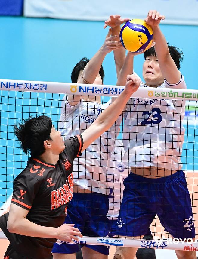 지난 20일 열린 프로배구컵대회 대한항공-OK저축은행 결승전 [한국배구연맹 제공. 재판매 및 DB 금지]