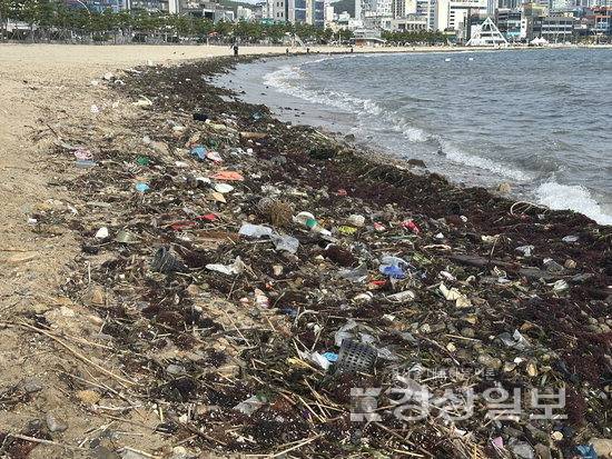 ▲ 22일 울산 동구 일산해수욕장에 먼 해안에서 밀려들어온 쓰레기들이 쌓여있다. 독자 제공