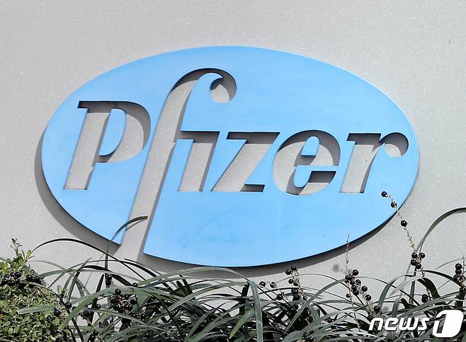 2020.11.10/뉴스1 ⓒ News1 이성철 기자