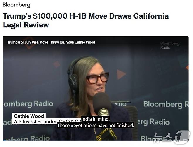 해당 기사 - 블룸버그 갈무리