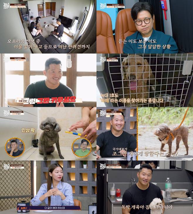 ‘개와늑대의시간’ 살생견 입질견 솔루션 (사진: 채널A)