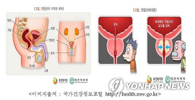 연합뉴스
