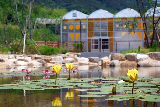 국립정원문화원. 한국수목원정원관리원