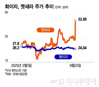화이자, 멧세라 주가 추이
