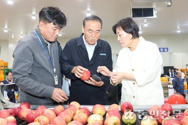 박철선 충북원예농협 조합장(가운데)이 22일 보은거점 산지유통센터를 찾은 송미령 농림축산식품부 장관(오른쪽)에게 사과 선별·유통 과정을 설명하고, 추석 성수품 수급 현황을 점검하고 있다.