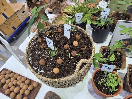 24일 서울 강남구 코엑스에서 열린 2025 대한민국 ESG 친환경대전에 참가한 틔움세상이 제작한 씨드볼. 씨앗과 배합토를 섞어흙에 심고 물을 뿌리면 싹이 튼다. 차승윤 기자