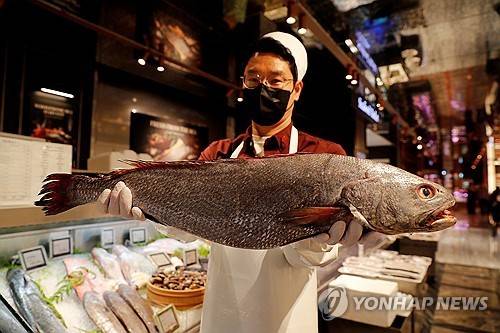 민어 [연합뉴스 자료 사진]