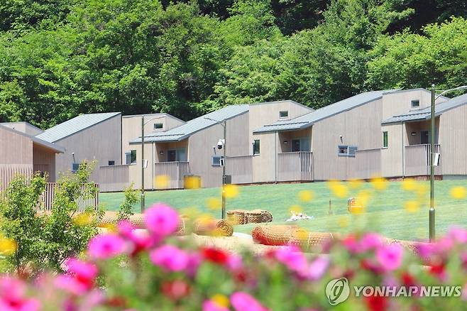 인제군 갯골자연휴양림 [인제군 제공. 재판매 및 DB 금지]