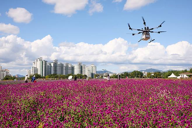 천일홍이 만개한 양주 나리공원 전경. 사진=양주시청