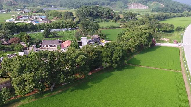 고창 삼태마을숲 항공촬영 전경(국가유산청 제공)