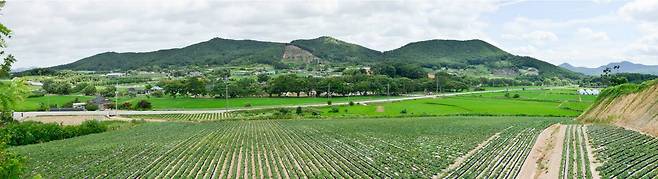 고창 삼태마을숲 전경(국가유산청 제공)