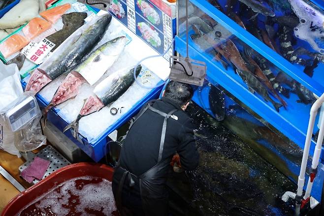 서울 노량진수산시장. 2025.3.4. (ⓒ뉴스1, 무단 전재-재배포 금지)