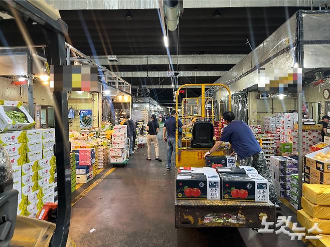 25일 서울 송파구 가락동 농수산물 종합도매시장. 권유빈 인턴기자