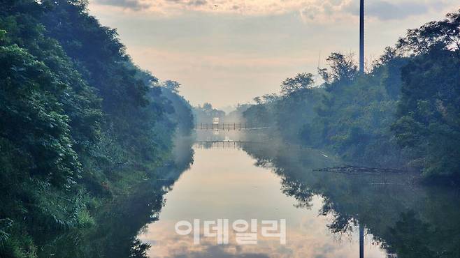 후앙하이 선린 궁위안 개울가에 아침 안개가 자욱하게 내려 앉아 있다