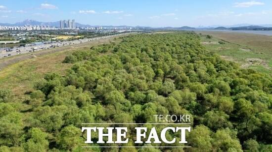 고양시가 탄소중립 도시로 나아갈 수 있는 자산인 '고양 장항습지'의 전경./고양시