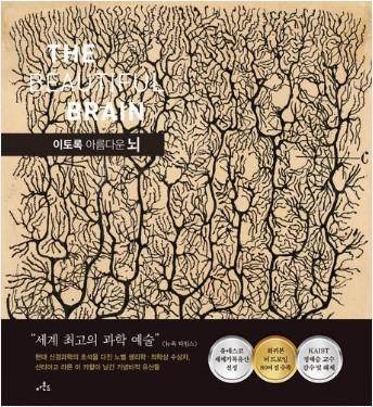 이토록 아름다운 뇌·래리 스완슨 외 5명·정지인 옮김·아몬드 발행·219쪽·4만7,000원
