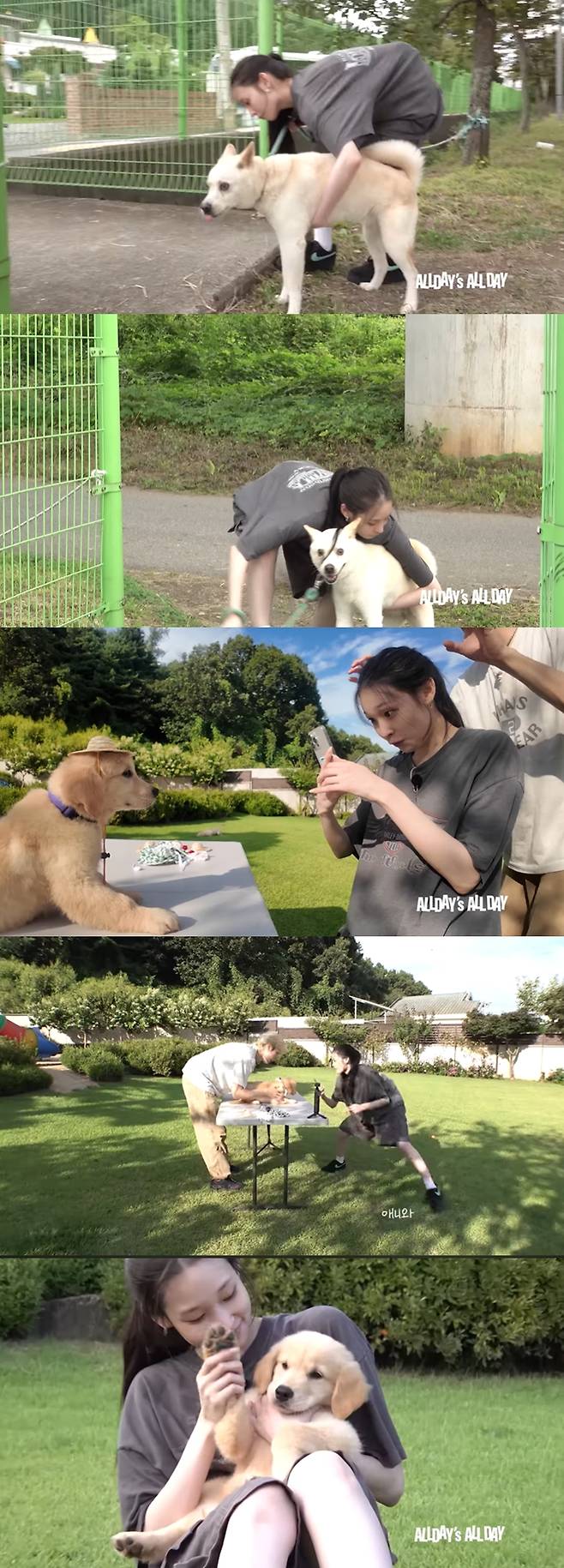 /사진=올데이프로젝트 유튜브