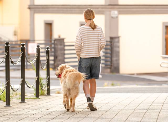 게티이미지뱅크