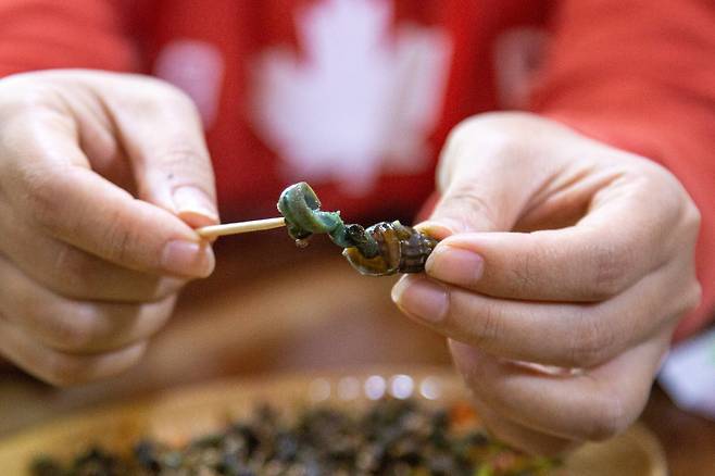 설익은 다슬기를 먹을 경우 기생충 감염 위험이 있어 주의가 요구된다. 게티이미지뱅크