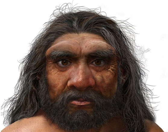 중국 하얼빈에서 발견된 호모 롱기(Homo Longi) 인류 상상도. AFP 연합뉴스