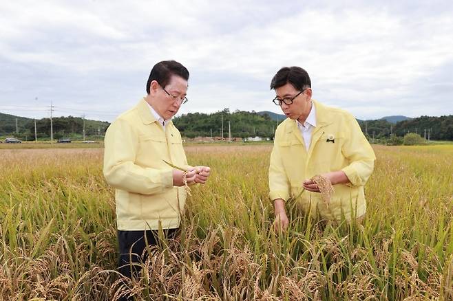 김철우 보성군수와 김영록 전남지사가 미력면에서 벼 깨씨무늬병 피해 현장 점검을 하고 있다.