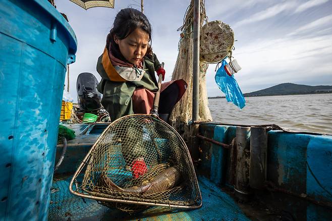 눈이 노란 참숭어는 몸길이가 50cm는 족히 넘어 보였다. /이건송 영상미디어 기자