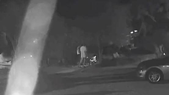 경남 거제에서 현역 해병대 군인 2명이 마당에 묶인 개 4마리에게 무차별적으로 '비비탄 총'을 쏴 군 조사를 받고 있다. 사진은 강아지들에게 비비탄을 쏘고 있는 남성들. [사진=비글구조네트워크 인스타그램]