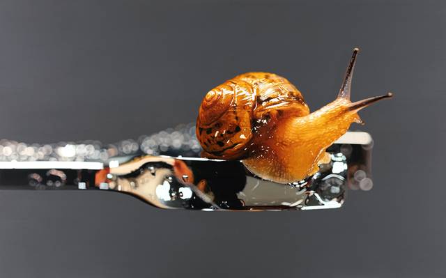 주고 ㅇ;ㅣㅆ다.작,'무(無). 생(生).물(物)', 291x182cm, 2024. 달서아트센터 제공