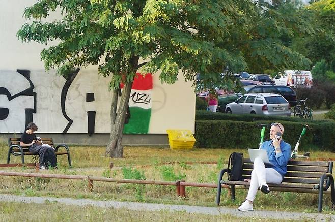 폴란드 사람들은 거리에 조성된 공원이나 벤치에서 여유 있는 시간을 보낸다. 장보영 제공