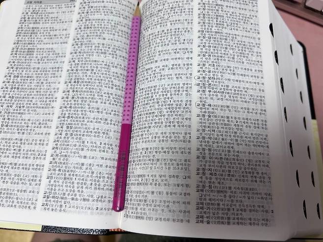 요즘은 보기 힘들어졌지만 국어사전은 교정 작업자에게 필수적인 물건이다. 필자 제공