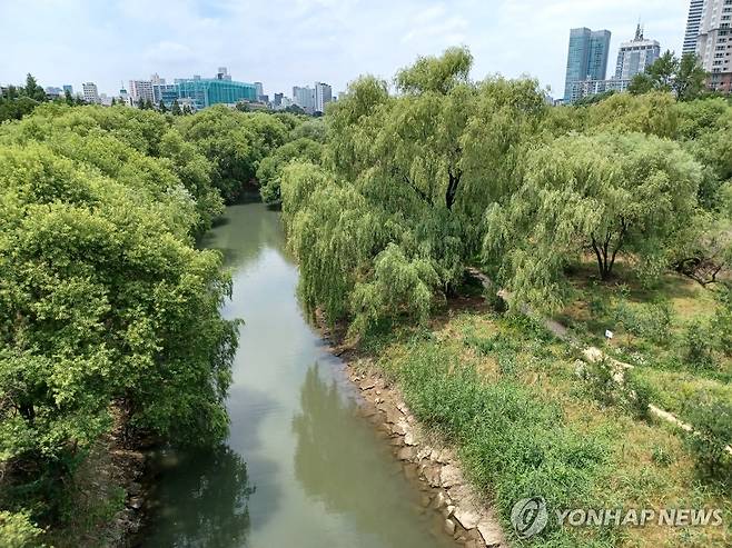 여의도 샛강 생태공원 [촬영 안철수] 2024.6.29