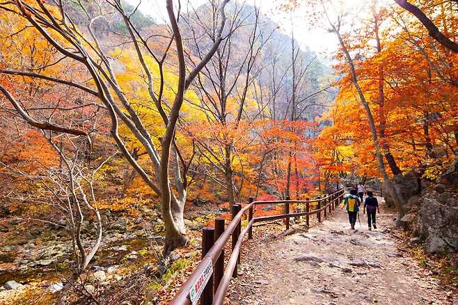다양한 등산코스가 갖춰져 있는 주왕산
