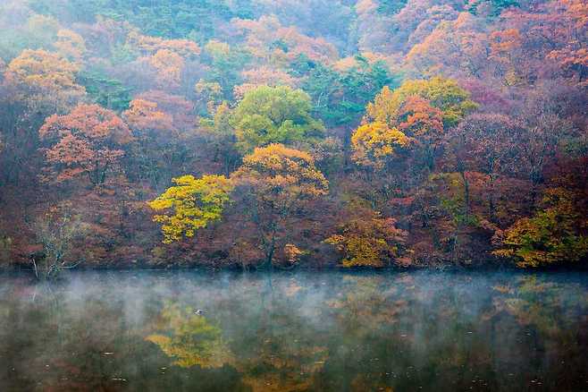 물안개가 올라가면 주산지의 풍경은 환상이 된다.