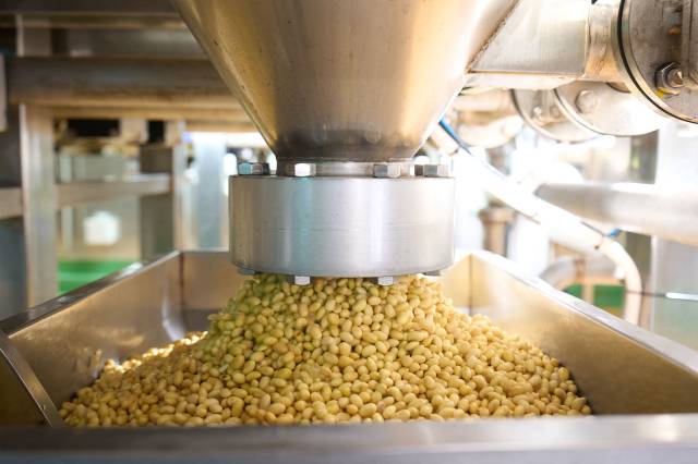깨끗하게 씻은 콩을 갈기 위해 옮기는 모습/사진=풀무원