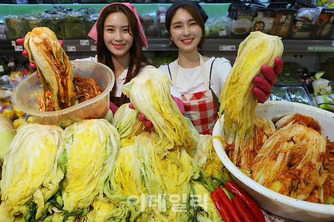 롯데마트 절임배추 사전 예약 판매 참고사진 (사진=롯데마트)