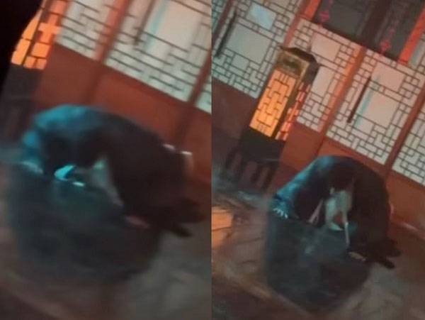 ​배우 이채민(25)이 복근 관리를 위해 푸시업을 하는 모습을 공개했다.​/사진=이채민 인스타그램 캡처