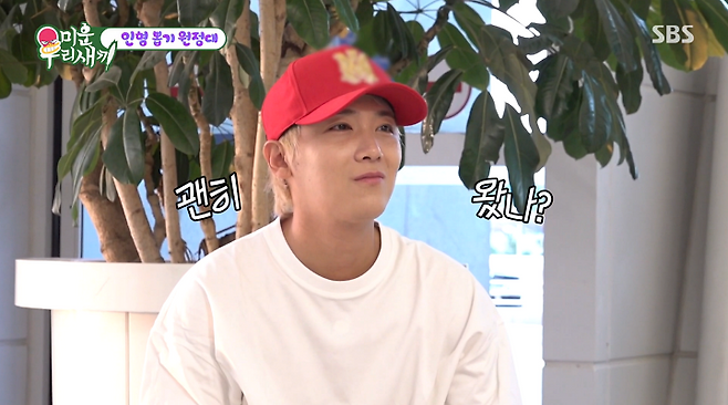 iMBC 연예뉴스 사진