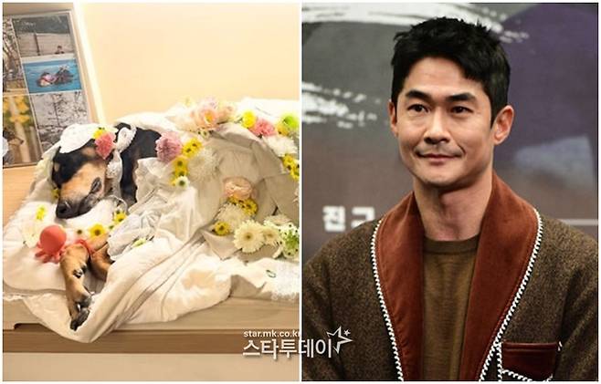 배정남 반려견이 무지개 다리를 건넜다. 사진l배정남 SNS 캡처, 스타투데이DB