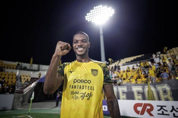 전남 드래곤즈 호난