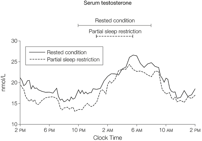 테스토스테론(세로축)과 수면 시간(가로축) 간의 관계. 충분한 숙면을 취한 상태(실선)가 잠이 부족한 상태(점선)보다 전체적으로 높은 테스토스테론이 나타났다. (출처=jamanetwork)