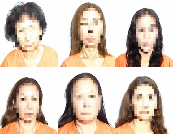 미국 오하이오주 톨리도 경찰이 체포한 아시아계 여성 6명의 머그샷. 루카스 카운티 교정당국