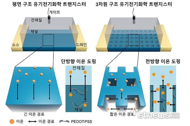 평면 구조와 3차원 구조 기반 유기전기화학 트랜지스터의 모식도 및 동작 매커니즘